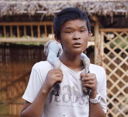 大小阳哥最新爆料,娱乐圈风云再起，真相令人震惊！