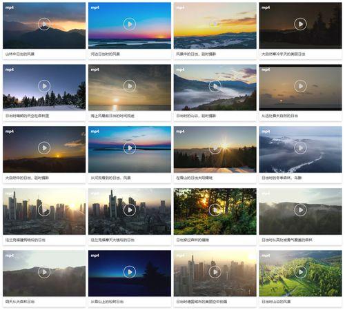 视频爆料素材网站大全最新,最新视频爆料素材网站大全汇总